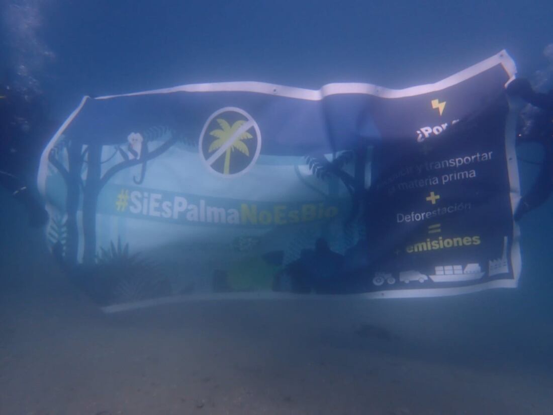 Cádiz.- Buzos hacen una protesta submarina en la bahía de Algeciras por el biodiesel fabricado con aceite de palma