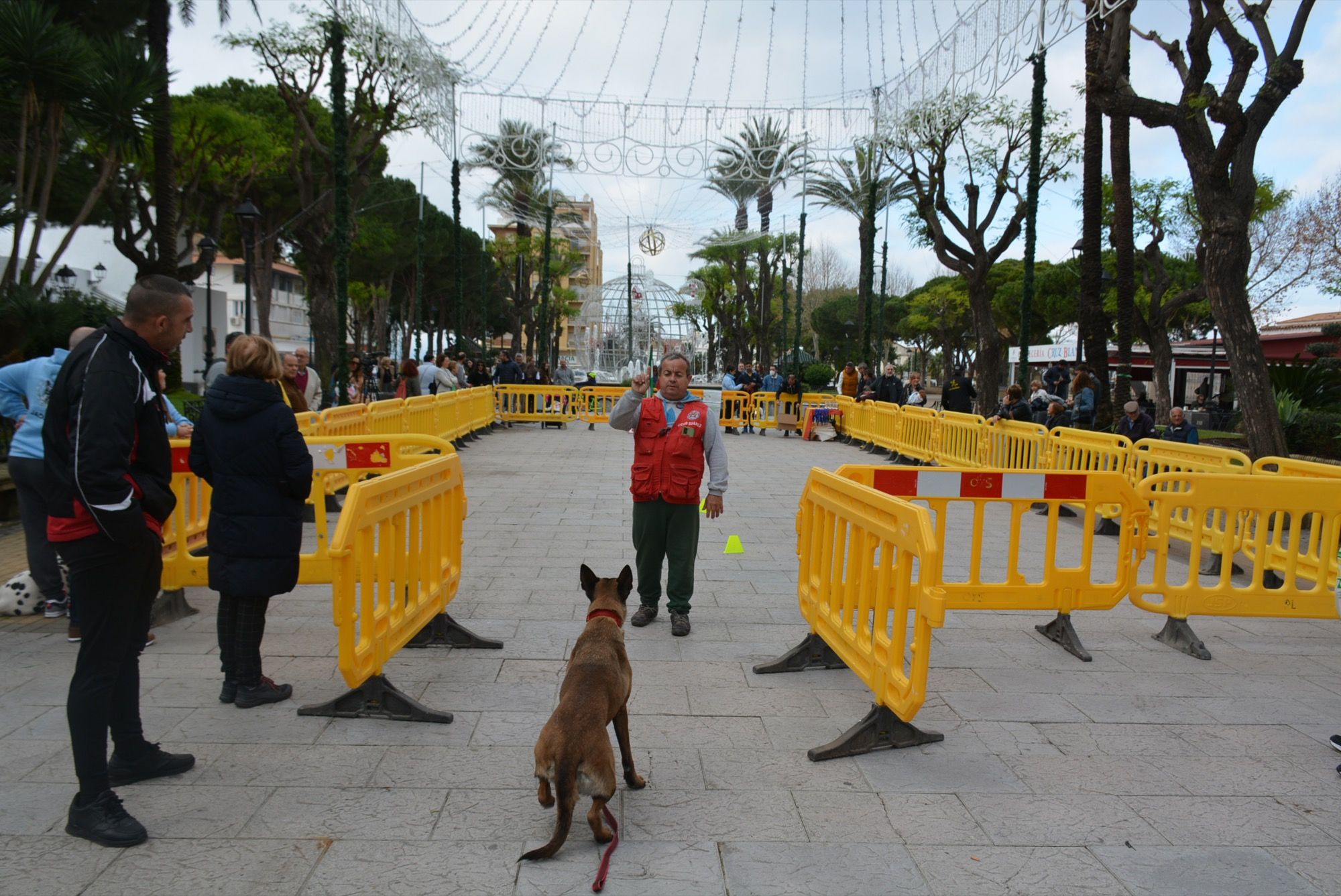 Un perro y un adiestrador, en el campeonato celebrado hoy en San Roque. 