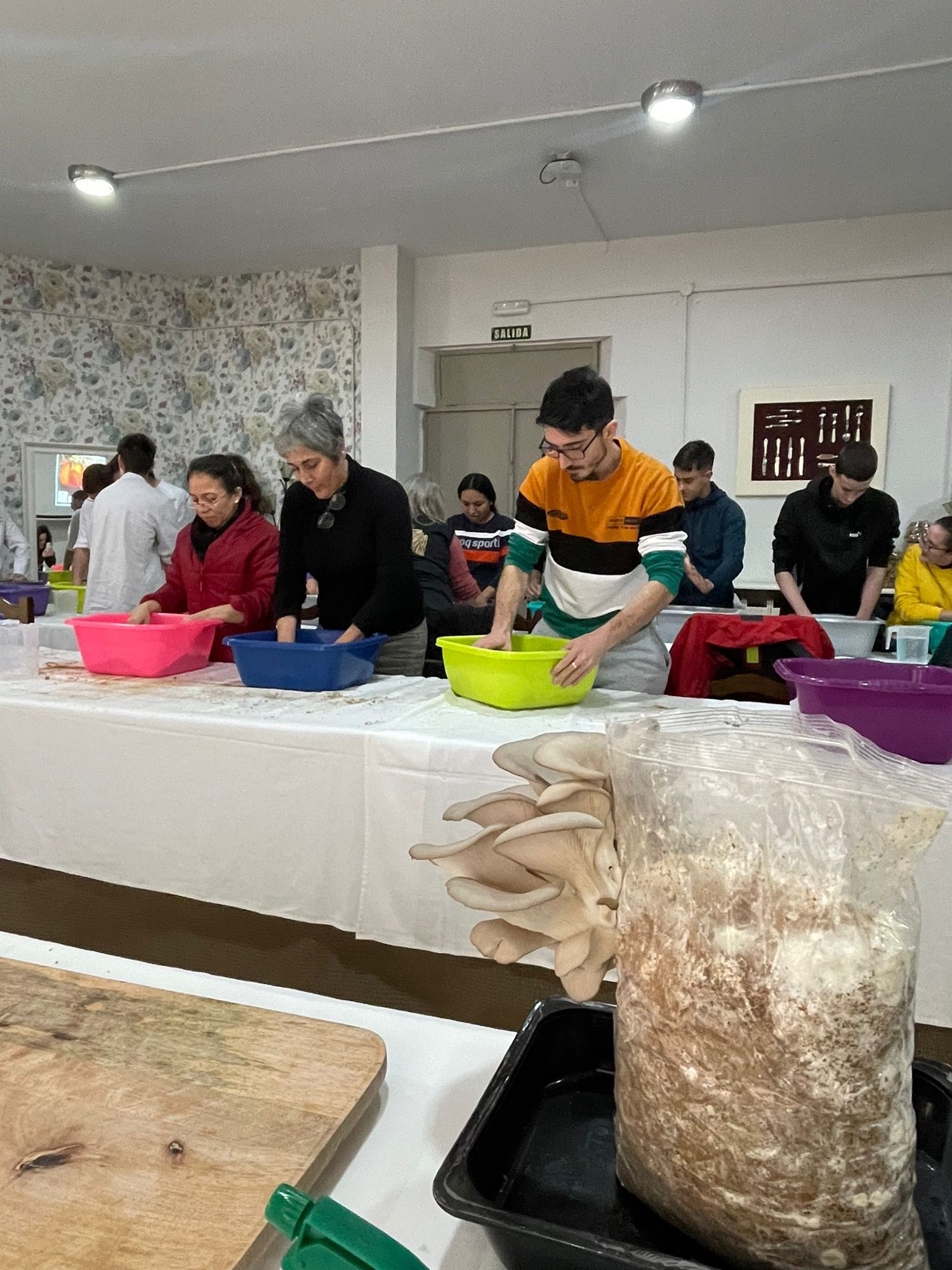 Más de 60 alumnos de la Escuela de hostelería aprenden a cultivar setas comestibles.