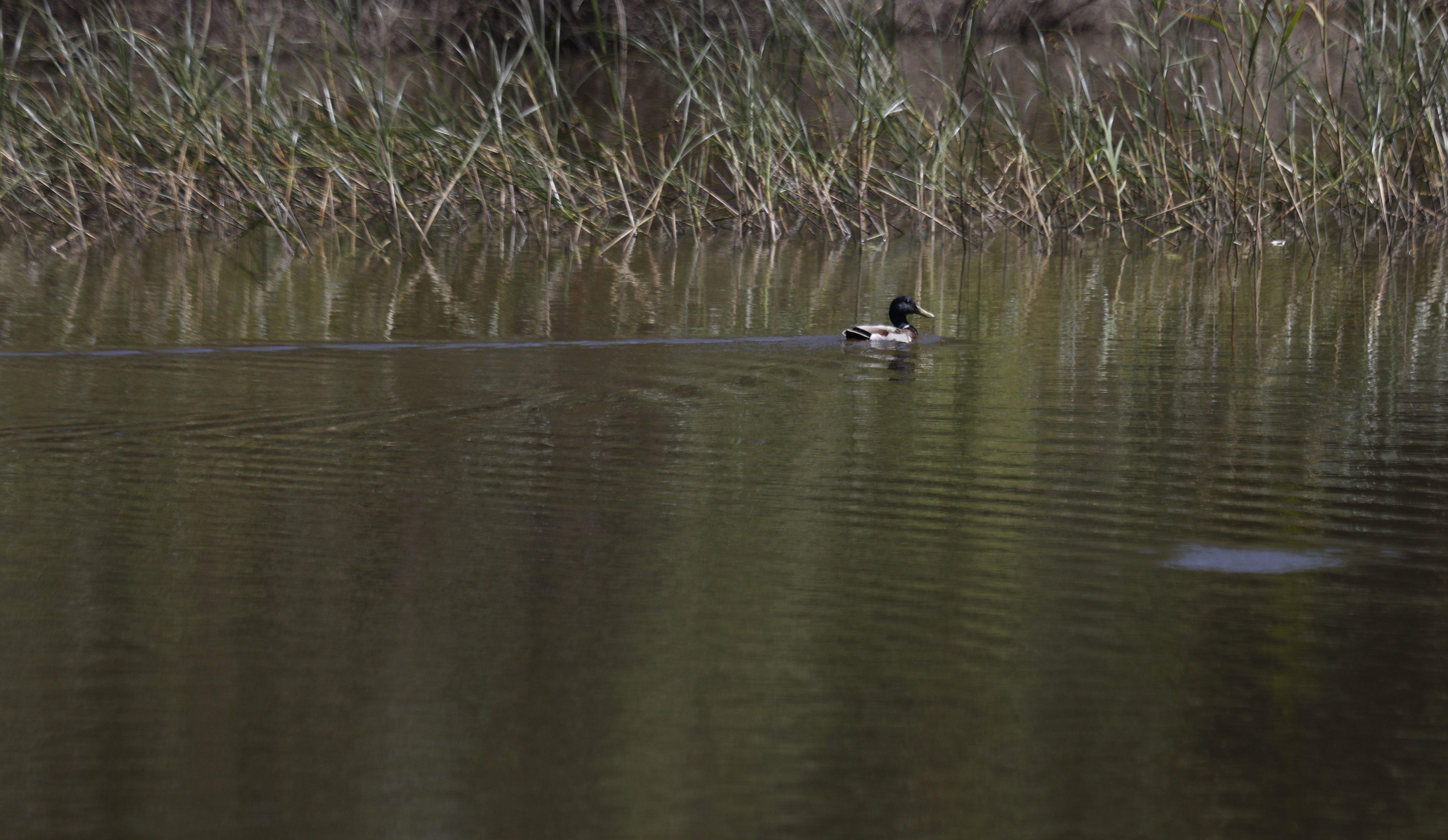 San Roque acoge un taller de concienciación ambiental sobre prevención de incendios forestales - Imagen de Archivo San Roque acoge un taller de concienciación ambiental sobre prevención de incendios forestales - Imagen de Archivo