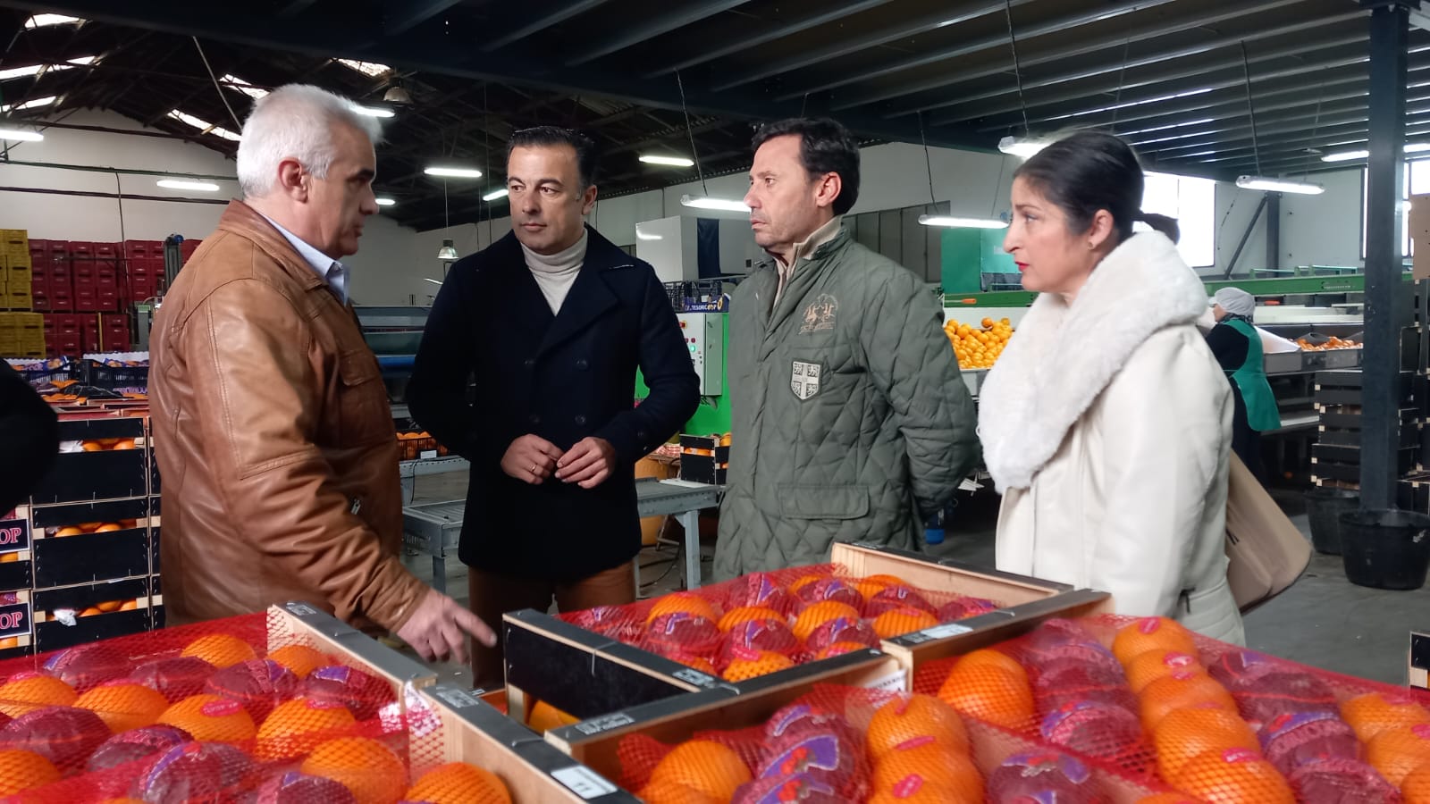 La Junta muestra su apoyo al sector agrícola del Campo de Gibraltar. 