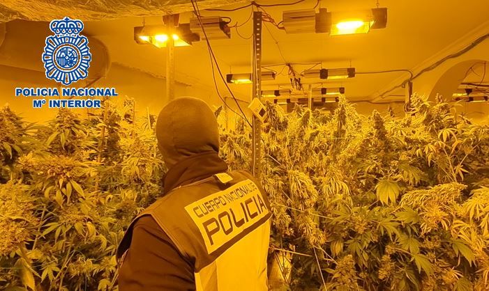 Desmantelado un cultivo 'indoor' de cannabis sativa en Los Barrios