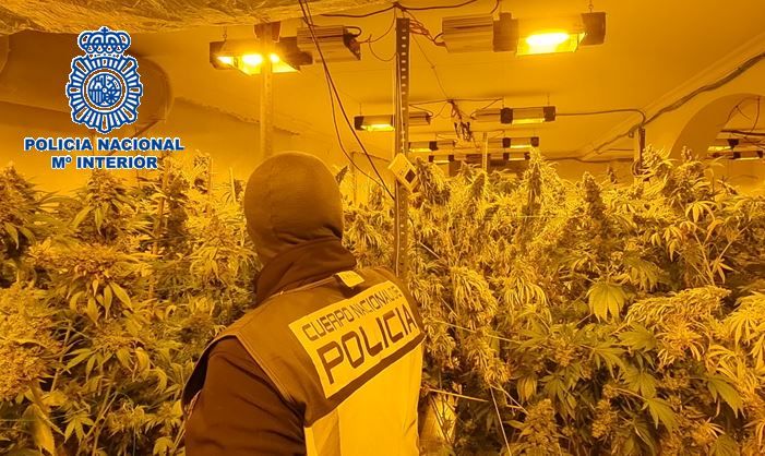 Desmantelado un cultivo 'indoor' de cannabis sativa en Los Barrios