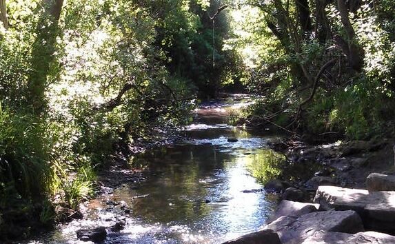 El río Picaro. Imagen de archivo. Exigen un plan integral para la recuperación del río Pícaro y su parque fluvial