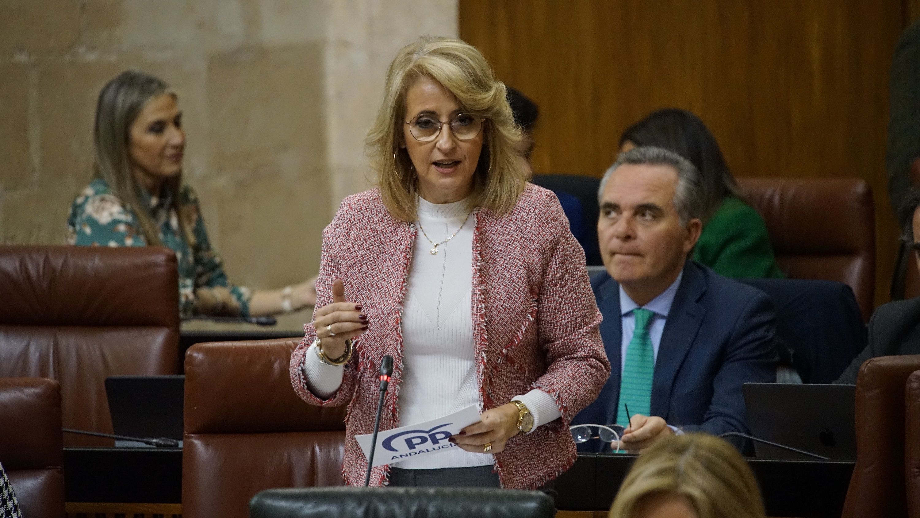 Pilar Pintor, durante una intervención en el Parlamento. Imagen de archivo. 
