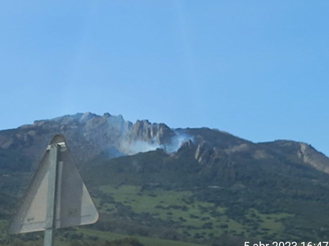Efectivos de INFOCA se encuentran trabajando en estos momentos en incendio declarado en el paraje Betis, en Tarifa. 