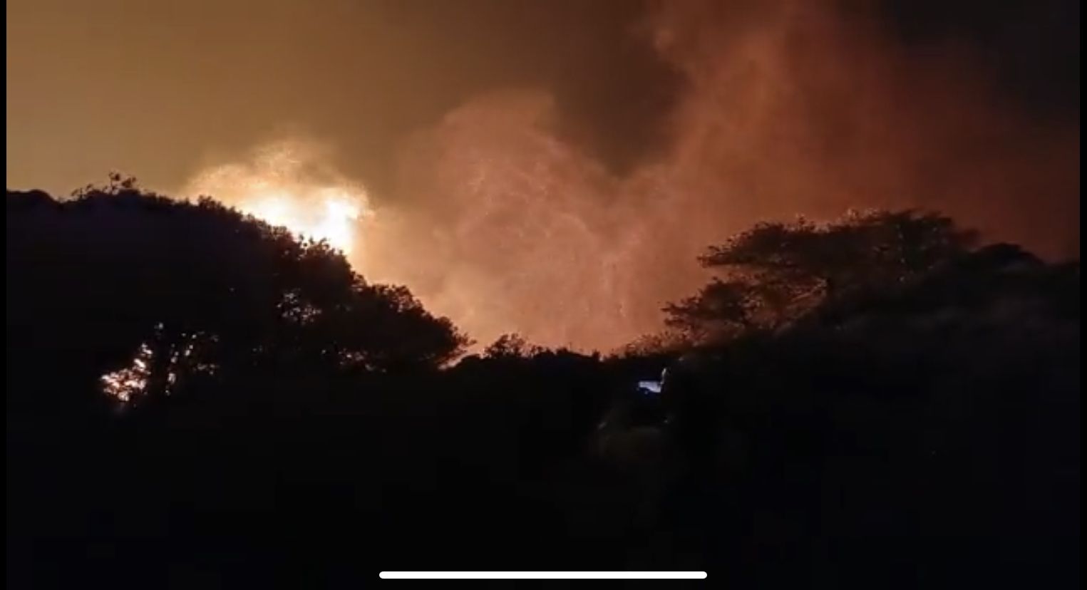 El incendio forestal de Tarifa obliga a desalojar a 70 personas de El Chaparral .