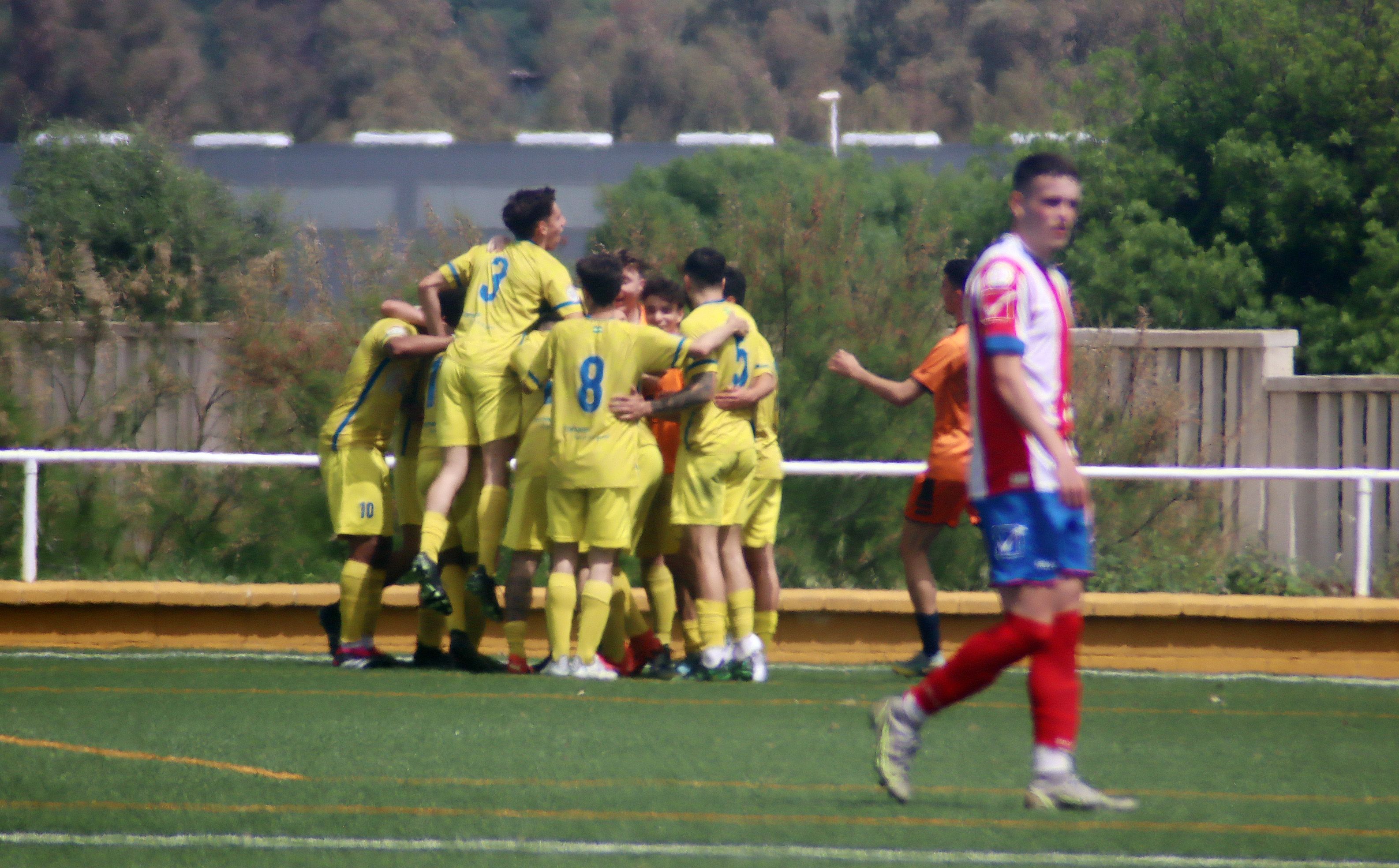 toma1 toma1