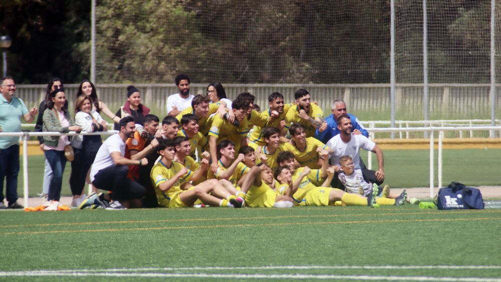 toma2 toma2