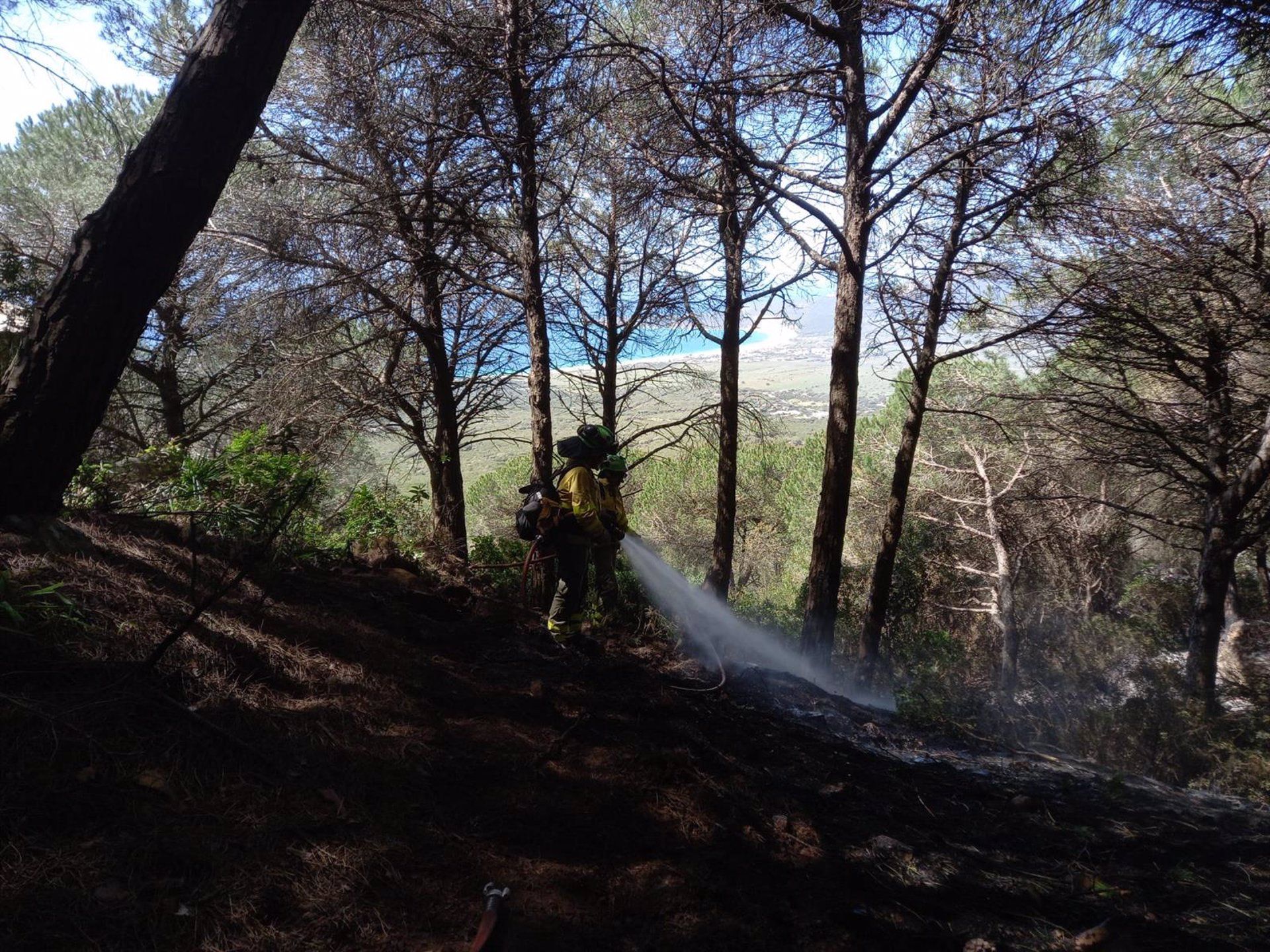 Infoca da por controlado el incendio forestal de Tarifa tras cinco días de trabajos en la zona. Un bombero forestal en el incendio de Tarifa - INFOCA.