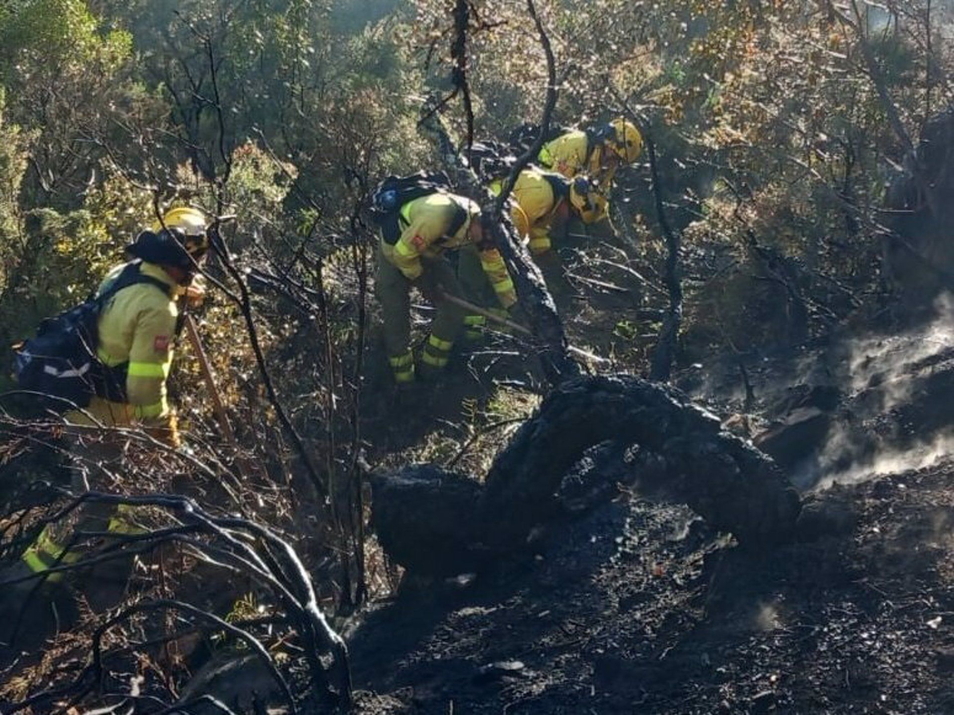 El Infoca da por estabilizado el incendio declarado en un paraje de Jimena