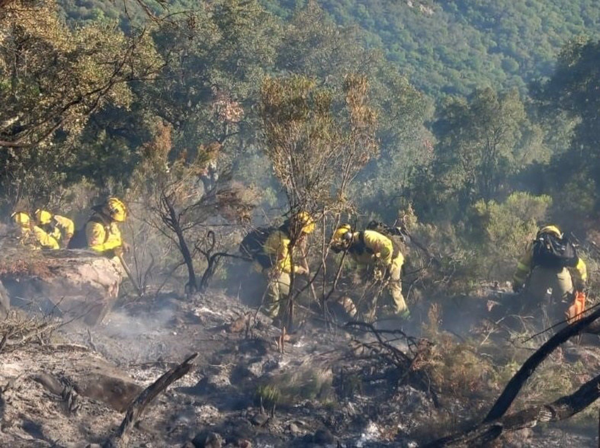 Infoca continúa trabajando en la extinción de los incendios declarados Tarifa y Jimena. Efectivos del Plan Infoca trabajando en el incendio forestal de Jimena de la Frontera  - PLAN INFOCA.