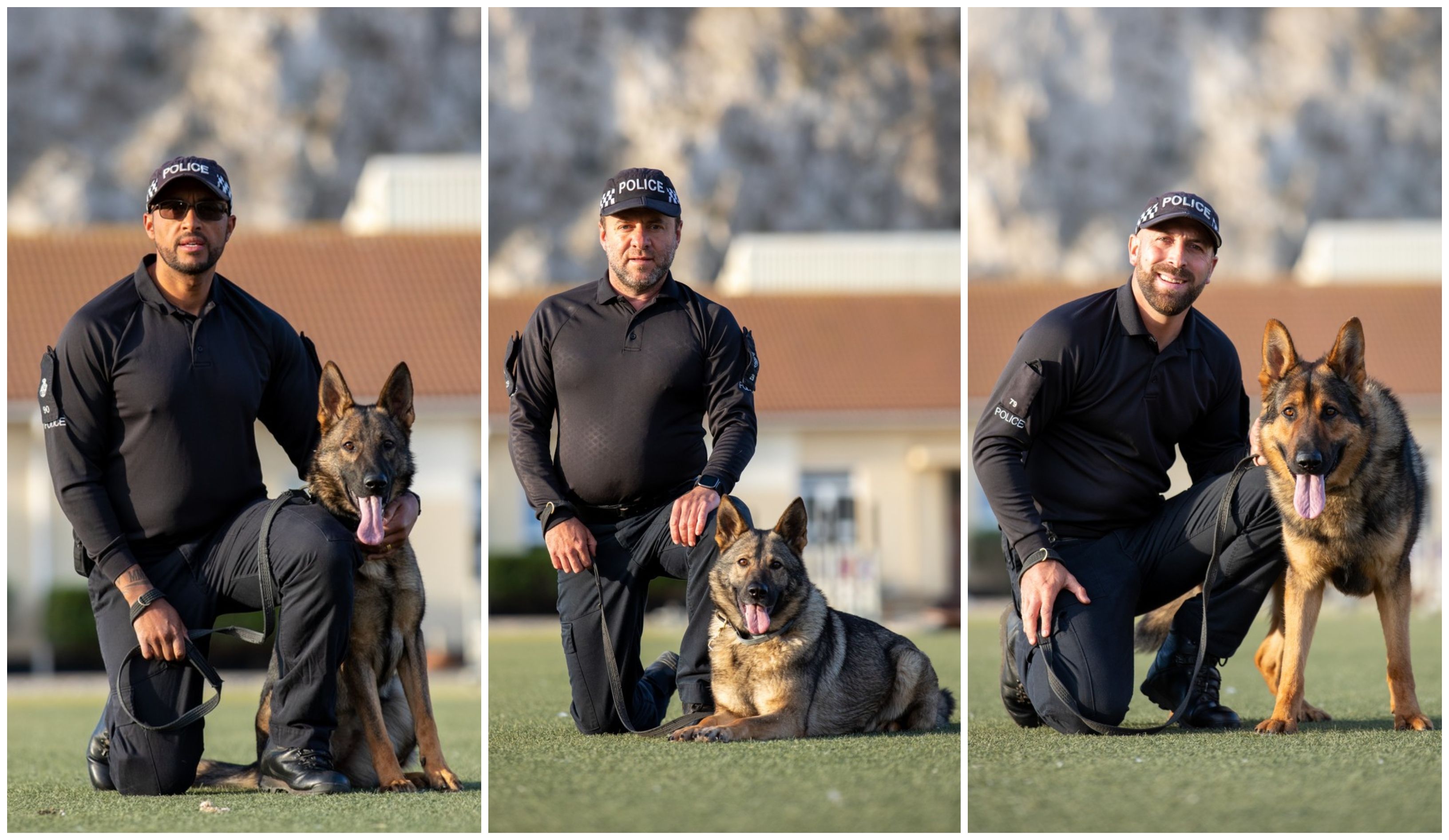 La Policía de Gibraltar cuenta con tres nuevos perros en la sección canina