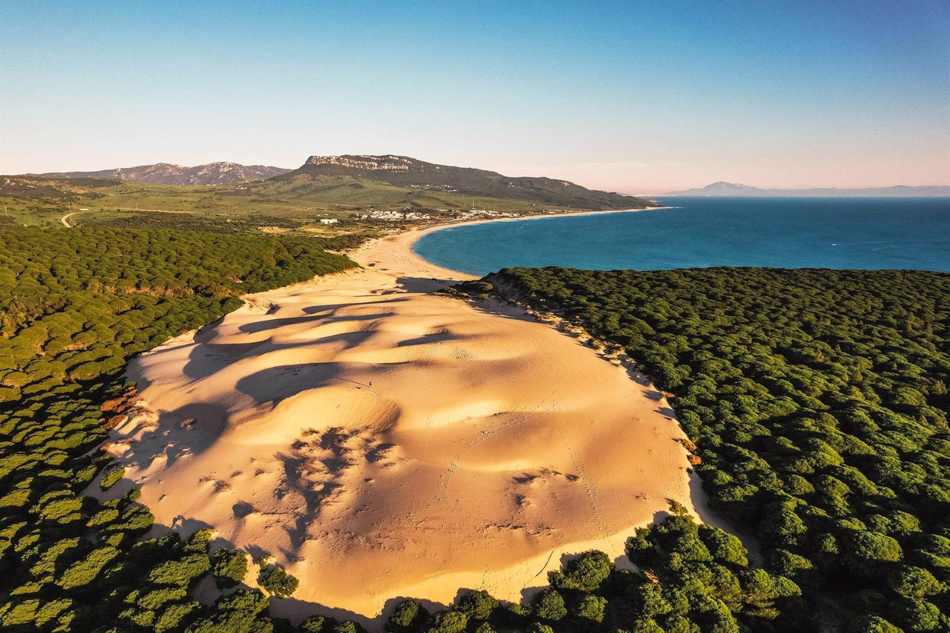 La playa de Bolonia, de las mejores de toda España. Duna de la playa de Bolonia, en Tarifa (Cádiz) - DIPUTACIÓN DE CÁDIZ.