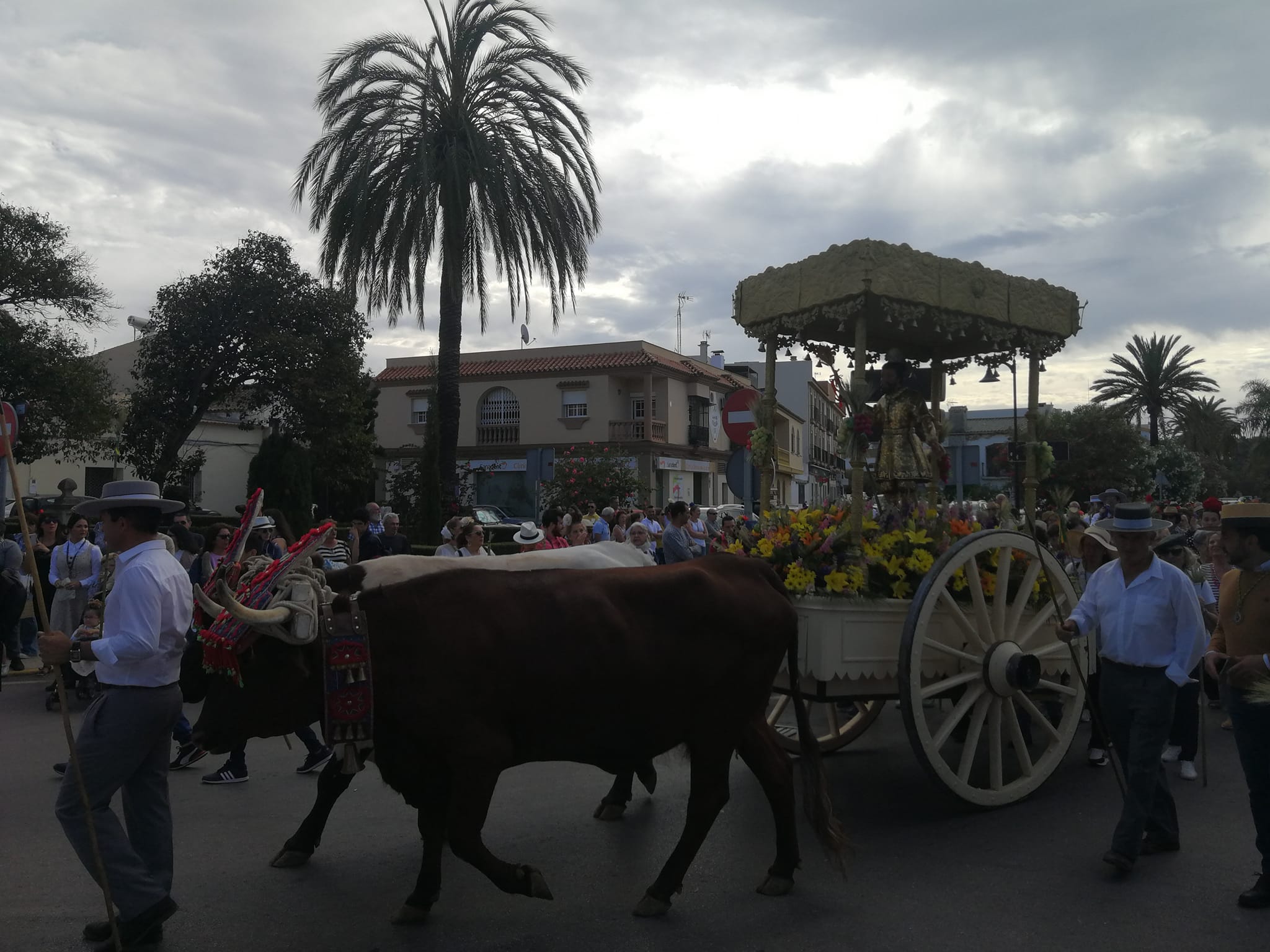La Romería de Los Barrios 2023, en imágenes La Romería de Los Barrios 2023, en imágenes
