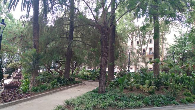 Vegetación y caminos del Parque María Cristina. Vegetación y caminos del Parque María Cristina.