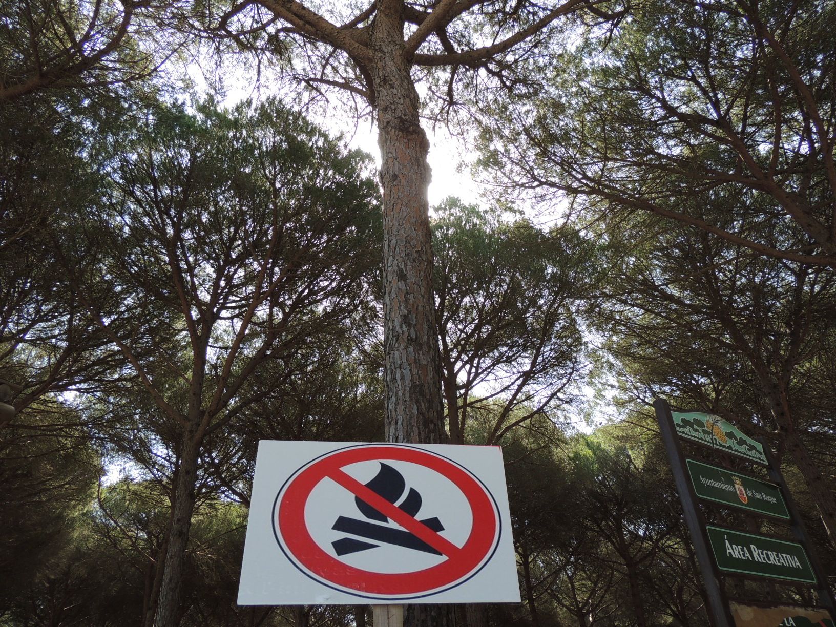 Un cartel de prohibido hacer fuego en el Pinar del Rey.
