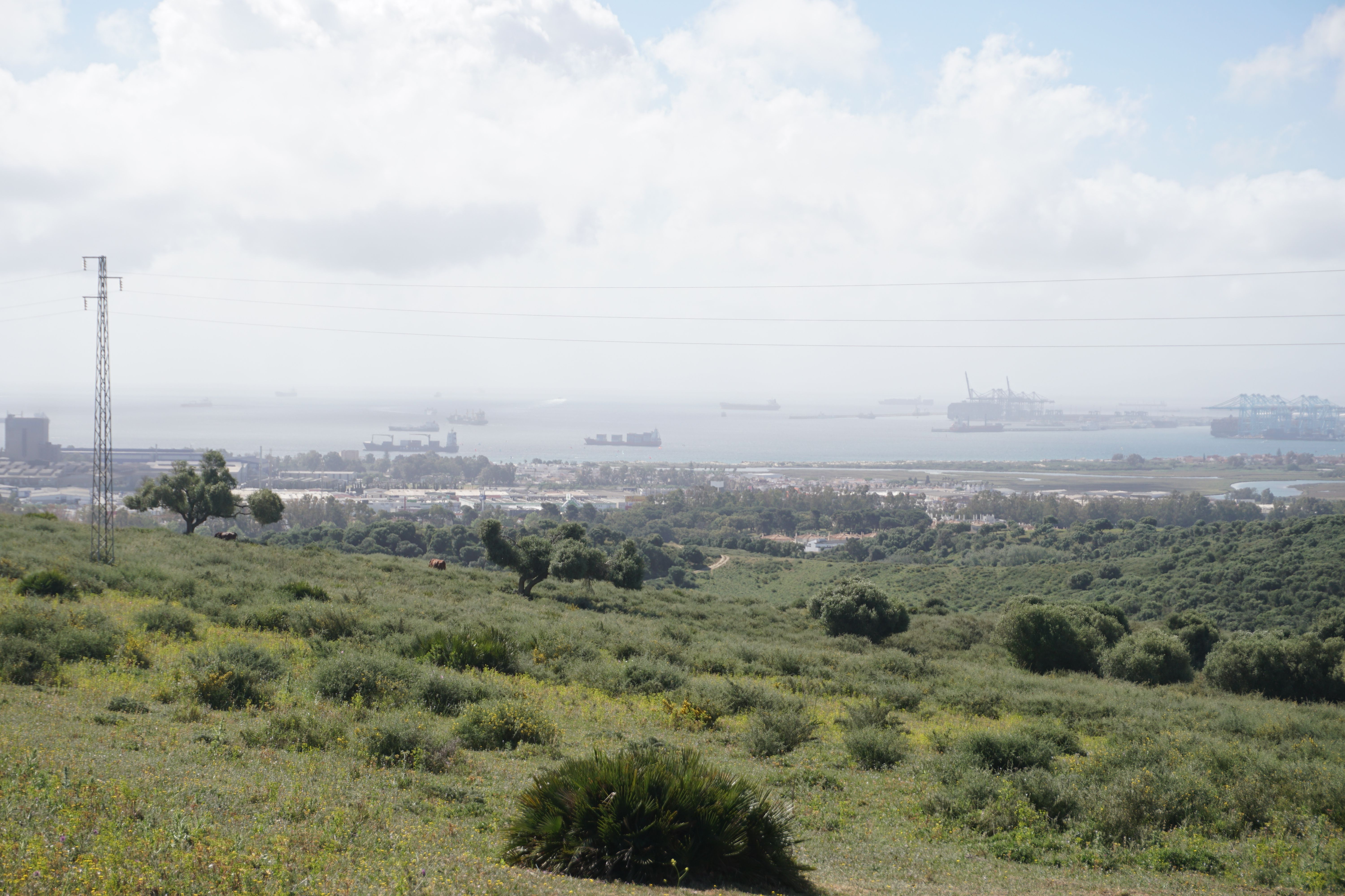 Parte de la Bahía de Algeciras, desde un monte de Los Barrios. 
