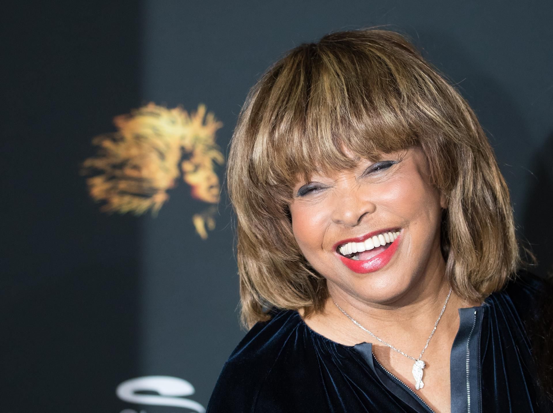 La cantante Tina Turner. Imagen de Europa Press. 