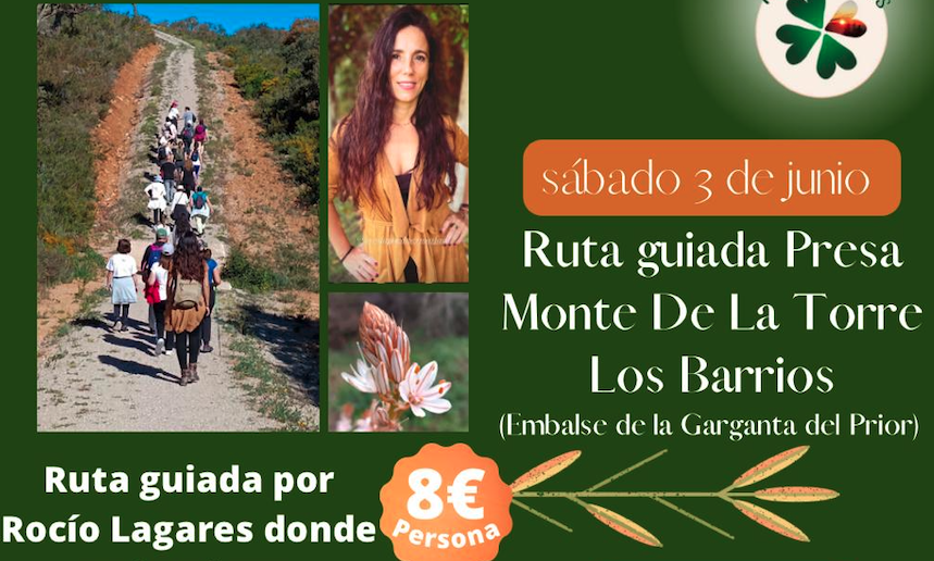 Turismo organiza el sábado 3 de junio una ruta guiada a la presa del Monte de la Torre en Los Barrios