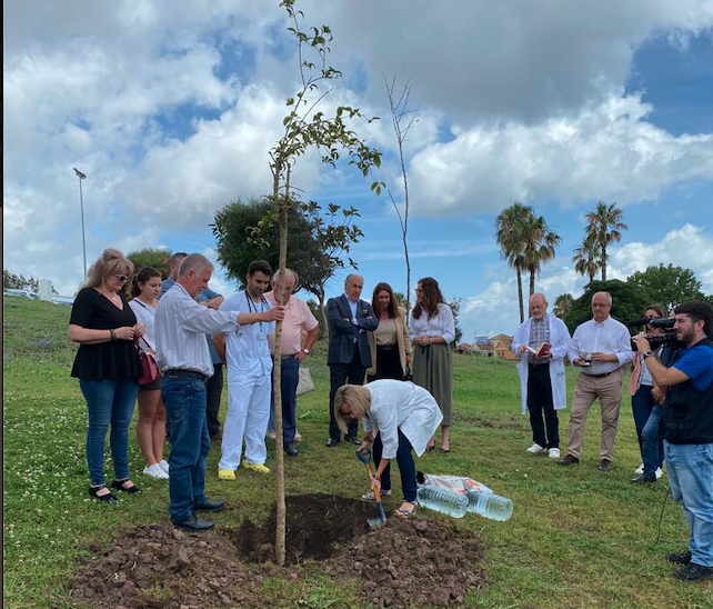 Un instante de la plantación del árbol en el Parque de la Vida.