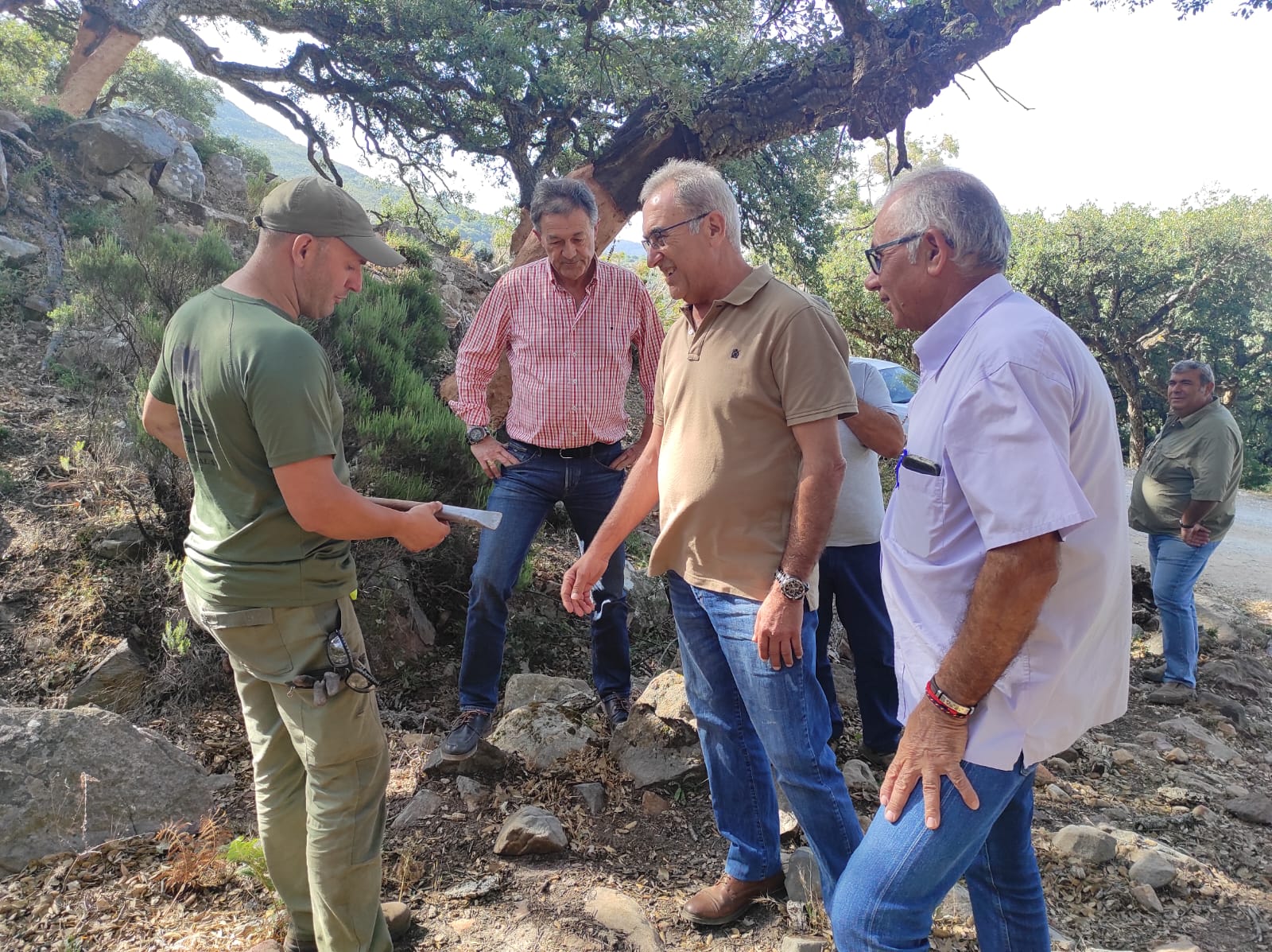 Vuelve el descorche a los montes tarifeños tras dos campañas de inactividad por la 'lagarta peluda'.