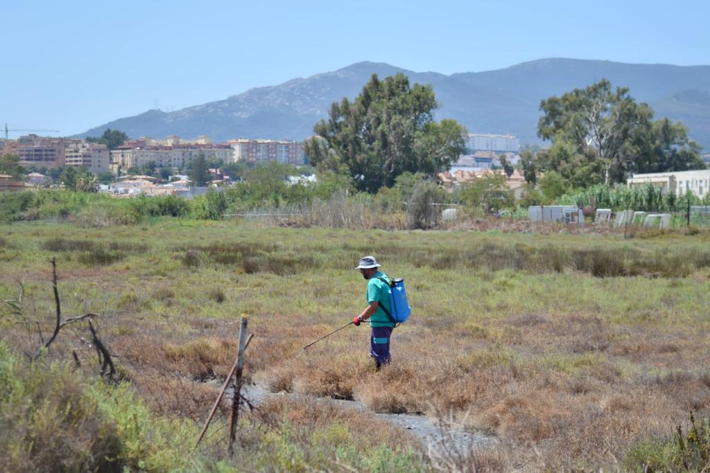 Un operario fumiga para prevenir el mosquito del Nilo en las Marismas de El Rinconcillo