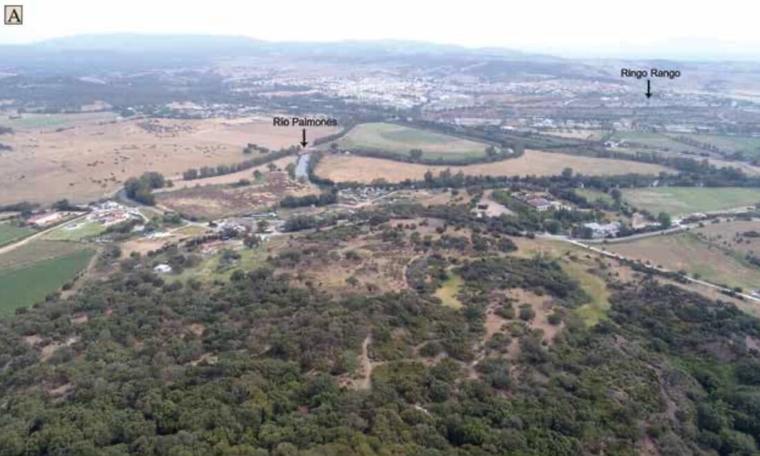 monte de la torre. IECG