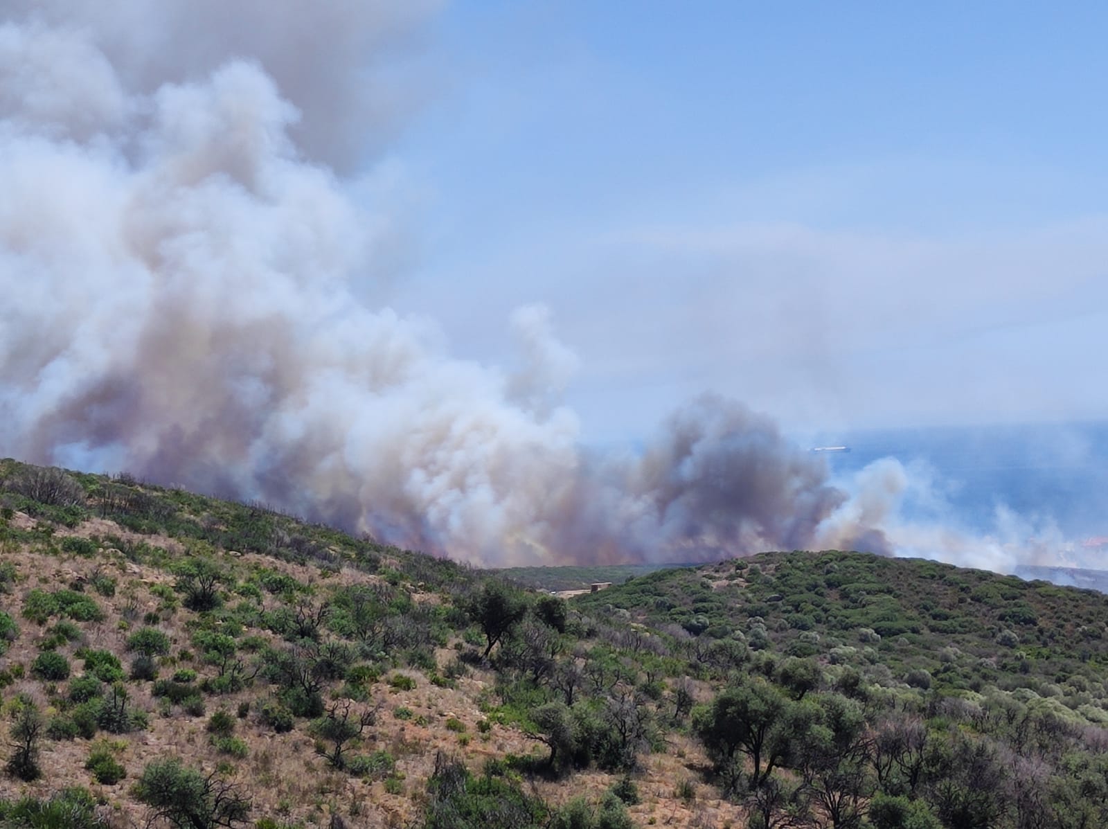Declarado un incendio en el paraje de Santa Margarita, en La Línea.