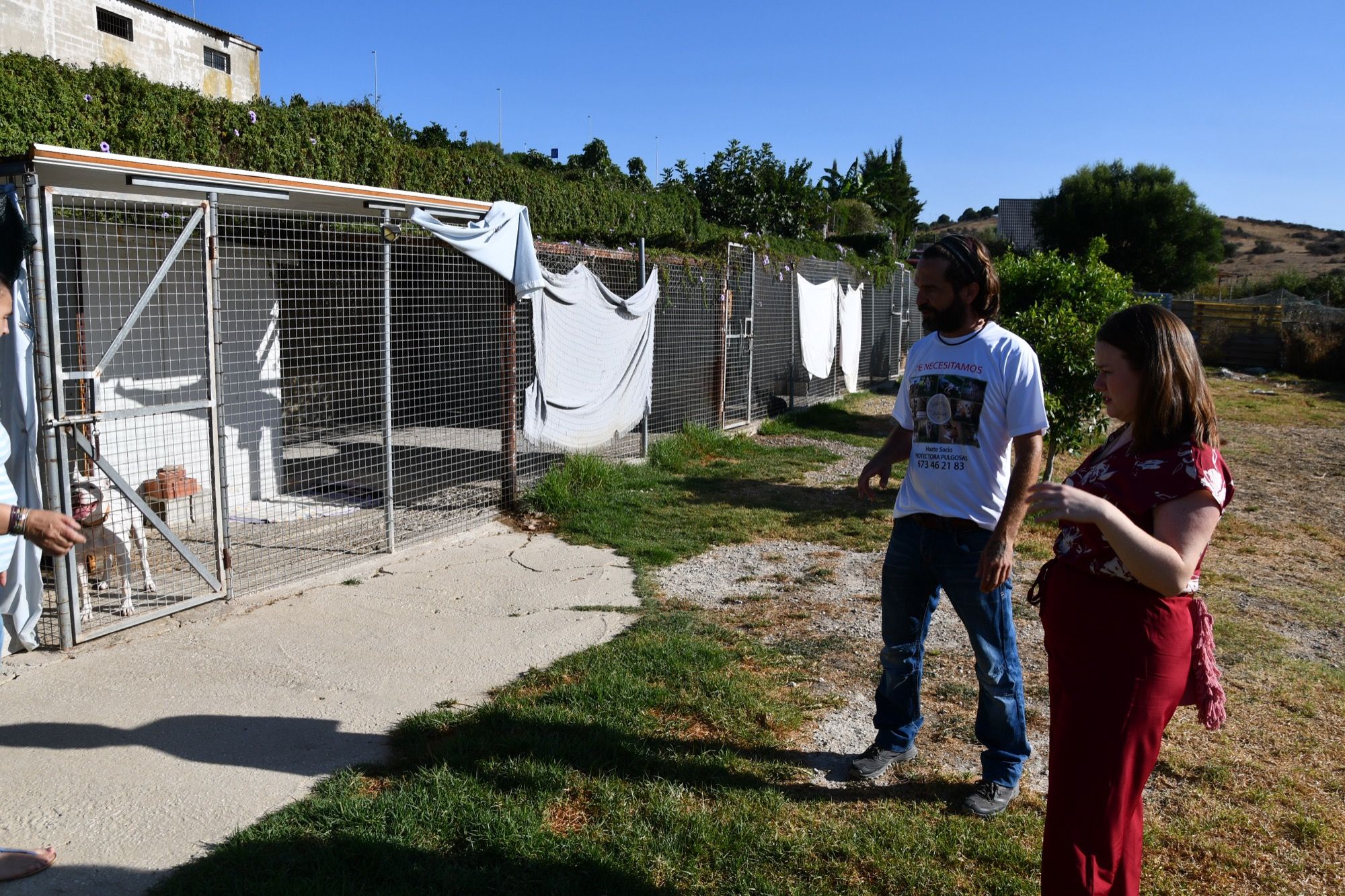 El Ayuntamiento de San Roque ofrece su colaboración a las protectoras del municipio, Pulgosas y Melampo
