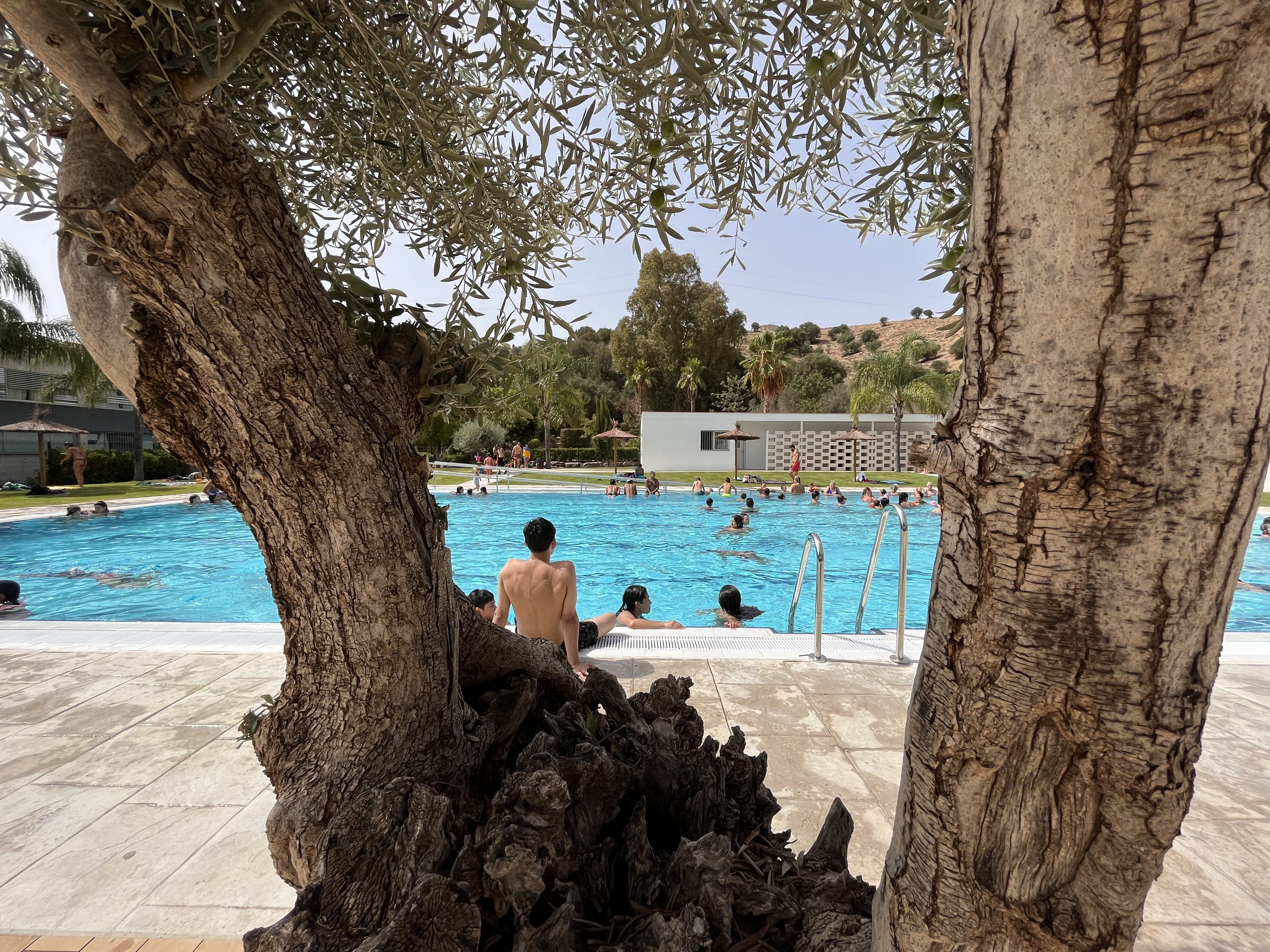 El primer día de la piscina de Tesorillo, en archivo. El primer día de la piscina de Tesorillo, en archivo.