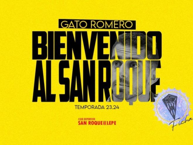 Gato min 1024x521 Gato min 1024x521
