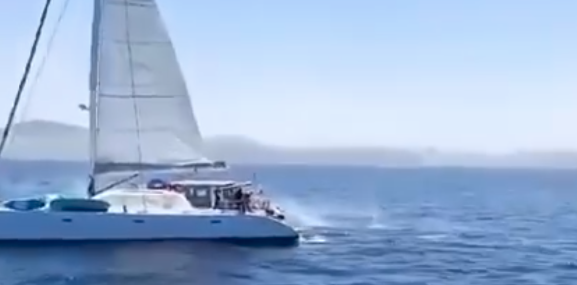 Ecologistas y animalistas, vigilantes ante la sospecha de barcos armados contra las orcas. En esta imagen, un momento del vídeo en el que tripulantes disparan a un grupo de orcas en el Estrecho.