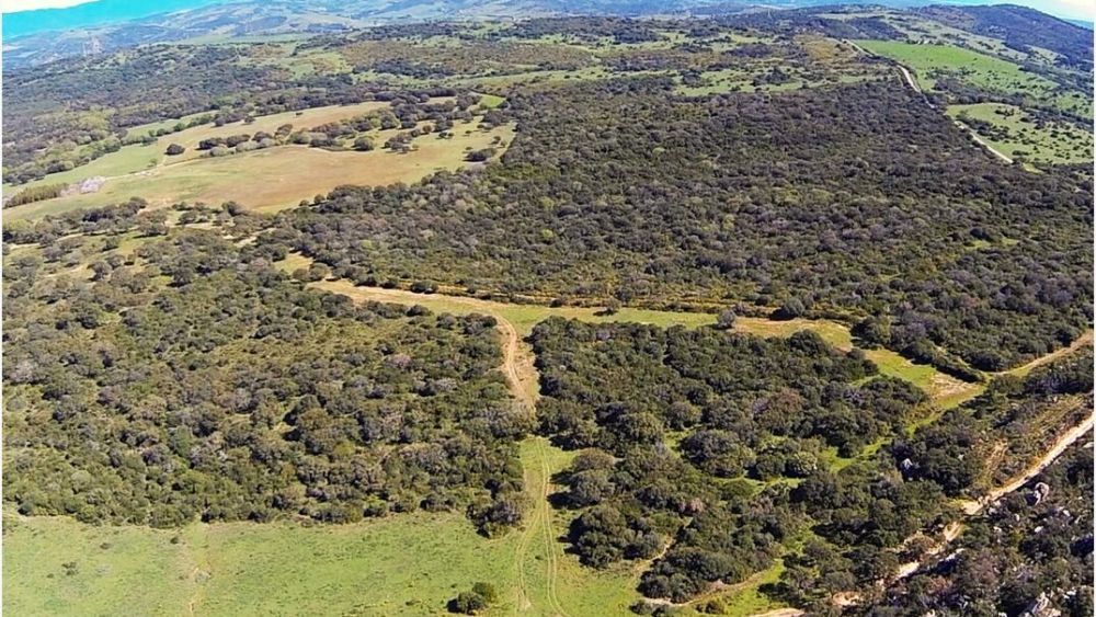 Grupo La Zagaleta contrata al prestigioso arquitecto Tom Doak para diseñar su campo de golf en Castellar. En esta imagen, finca donde se desarrollará el proyecto.