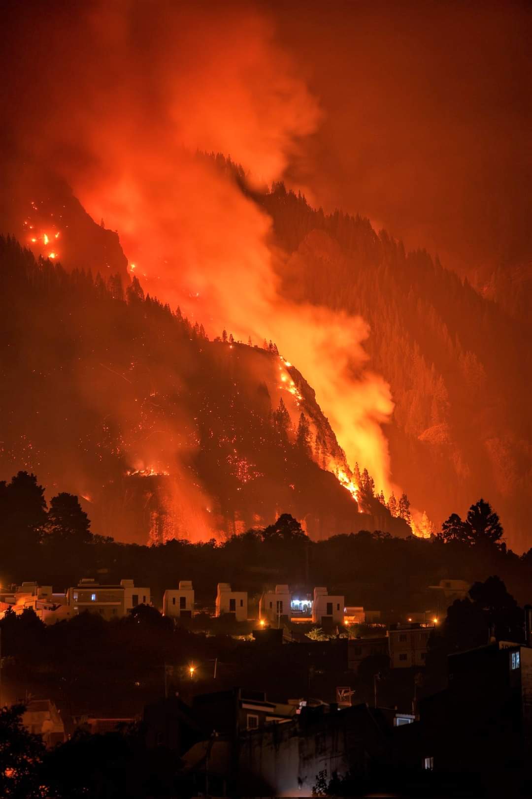 Incendio de Tenerife: más de 10.000 hectáreas calcinadas y 12.279 evacuados.