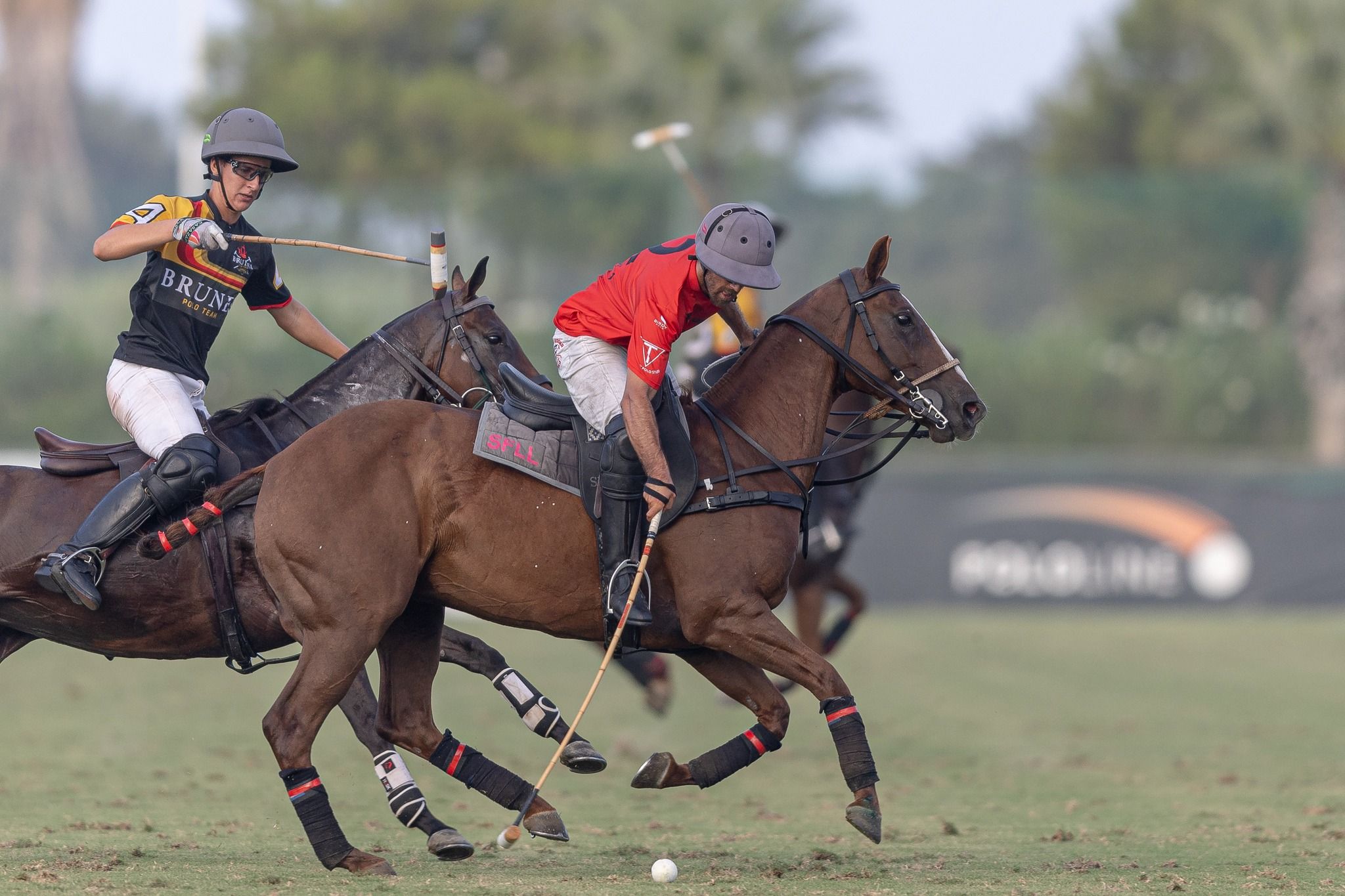 La Copa de Oro de Alto Hándicap del 52º Torneo Internacional conocerá a sus finalistas/Foto: Matías Callejo