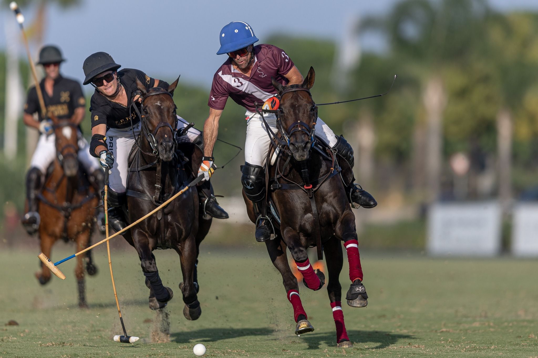 MB Polo y Dubai, la gran final de la Copa de Oro de Alto Hándicap del Torneo Internacional