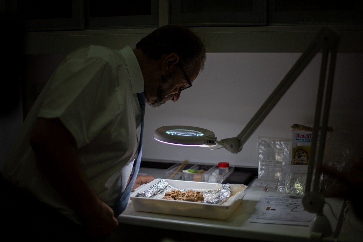 Los neandertales, la primera especie humana que habitó en el Peñón de Gibraltar. Foto: Gobierno de Gibraltar.