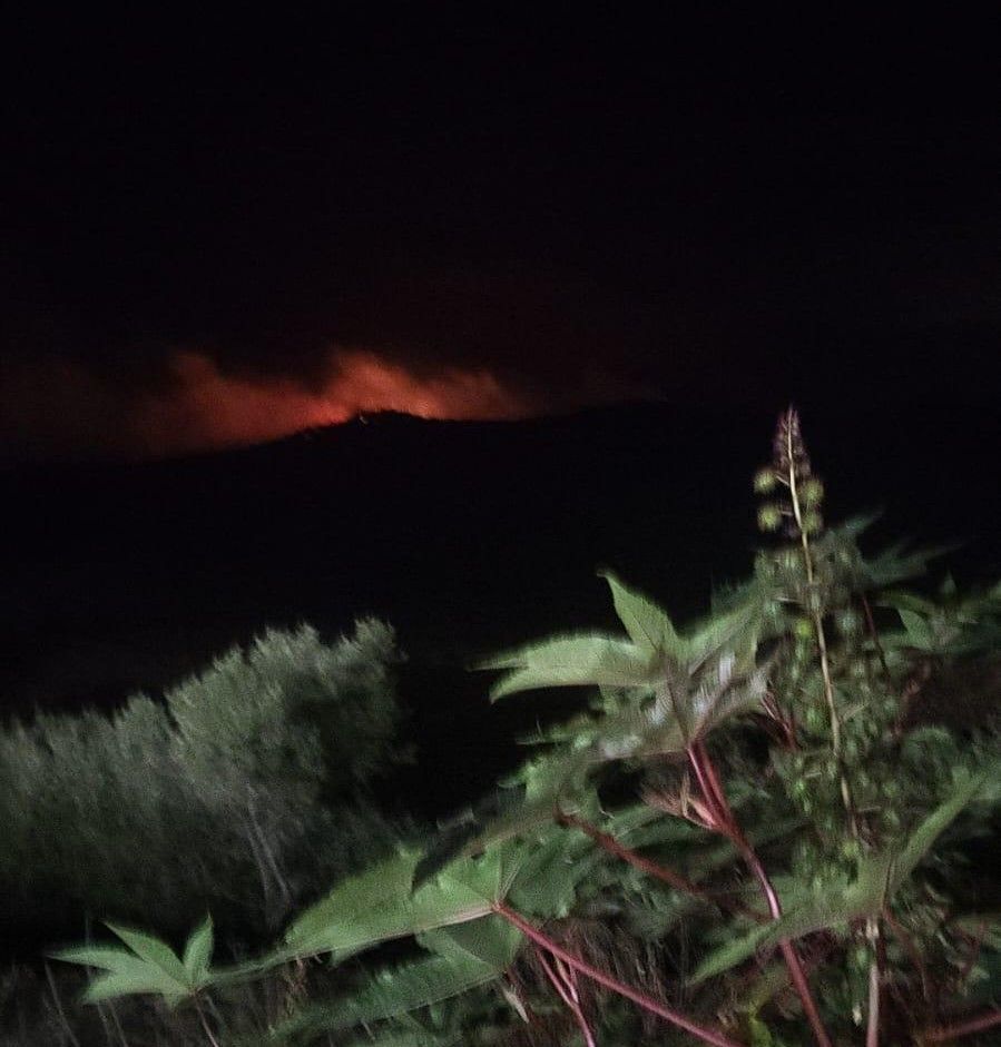 Foto del incendio de Las Pantallas.