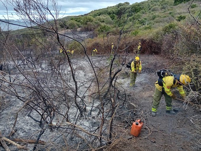 Efectivos de Infoca trabajan en el incendio.