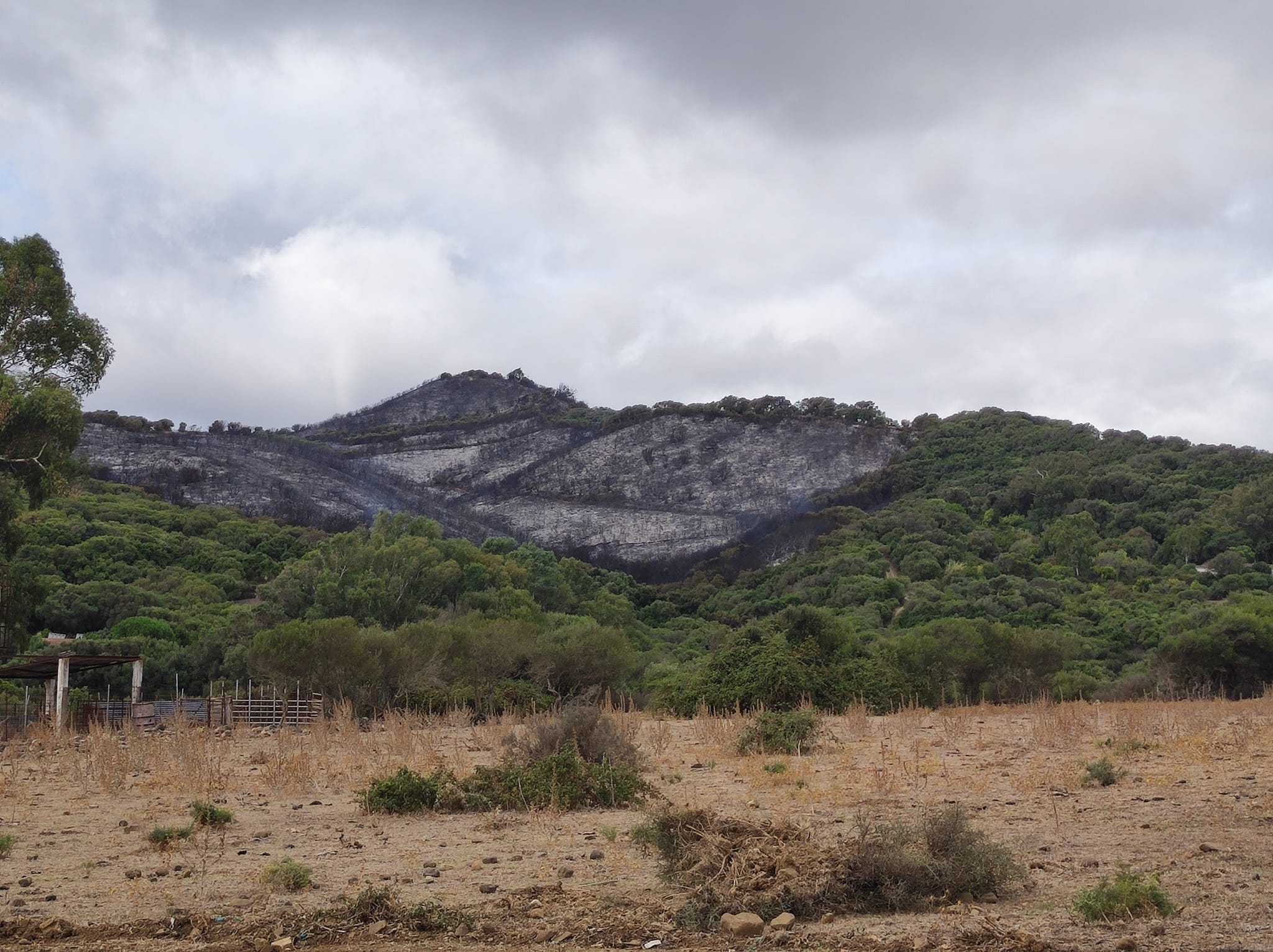 Algeciras agradece a los efectivos implicados en la extinción del incendio en Las Pantallas.