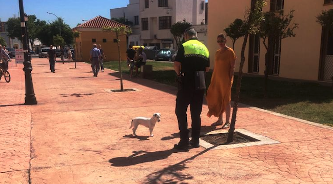 La Policía Local de La Línea denuncia la presencia de animales sueltos en las vías públicas. 