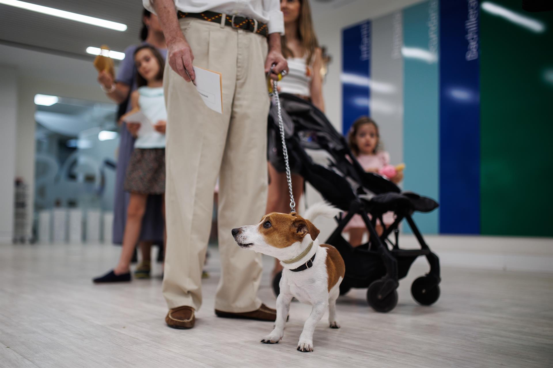 La Ley de Bienestar Animal entra en vigor: acceso libre a locales, límite de mascotas y fin del sacrificio. Foto: Alejandro Martínez Vélez - Europa Press - Archivo
