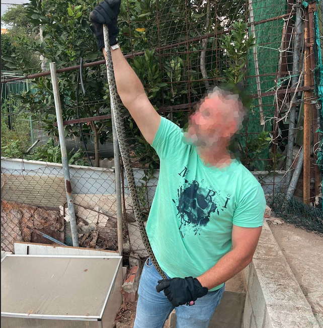 Capturan una serpiente de 1,20 metros en el Centro de Día de Mayores de San José Artesano .