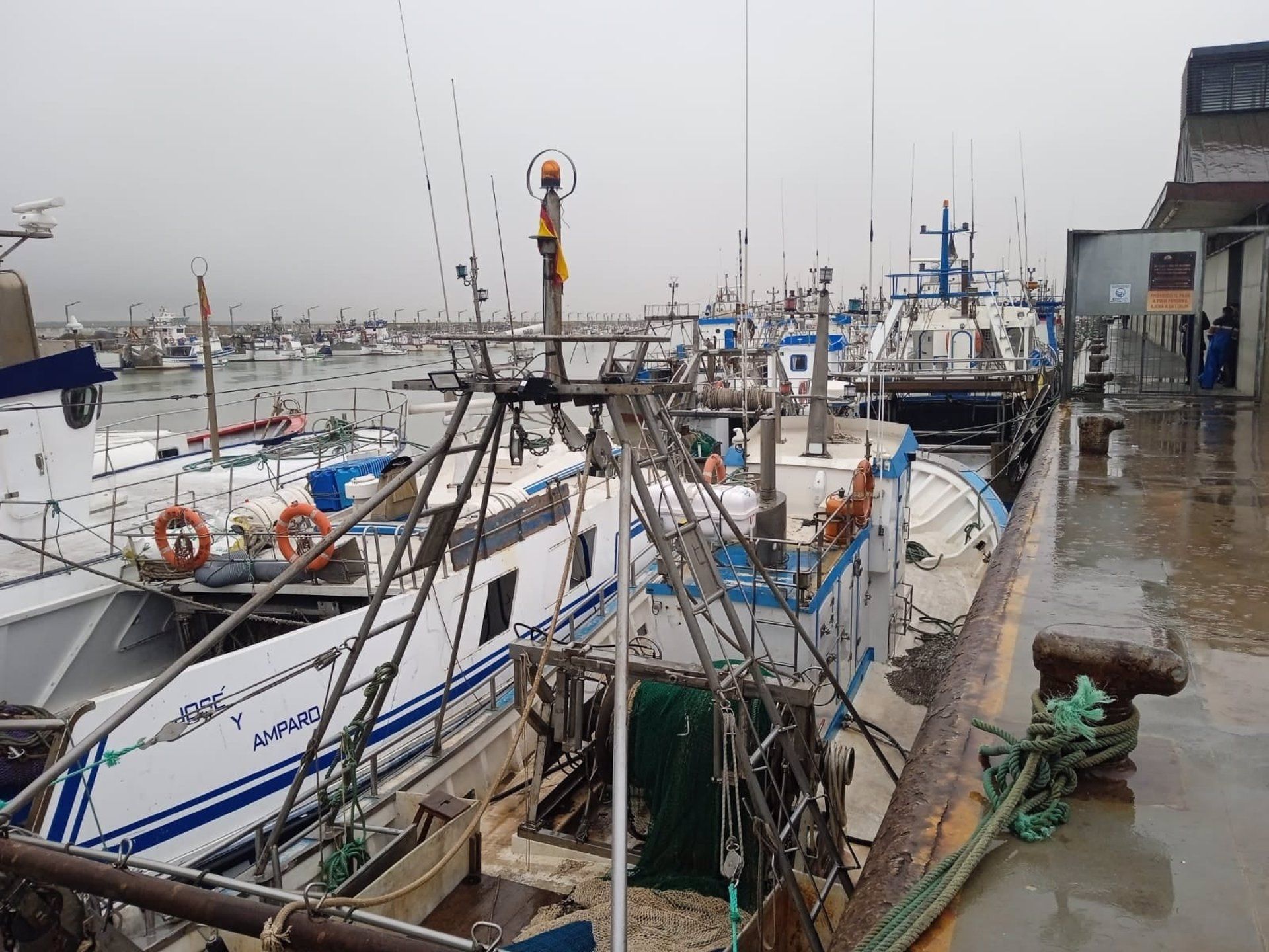 Barcos pesqueros de Sanlúcar amarrados al puerto en una foto de archivo - COFRADÍA DE PESCADORES SANLUCAR