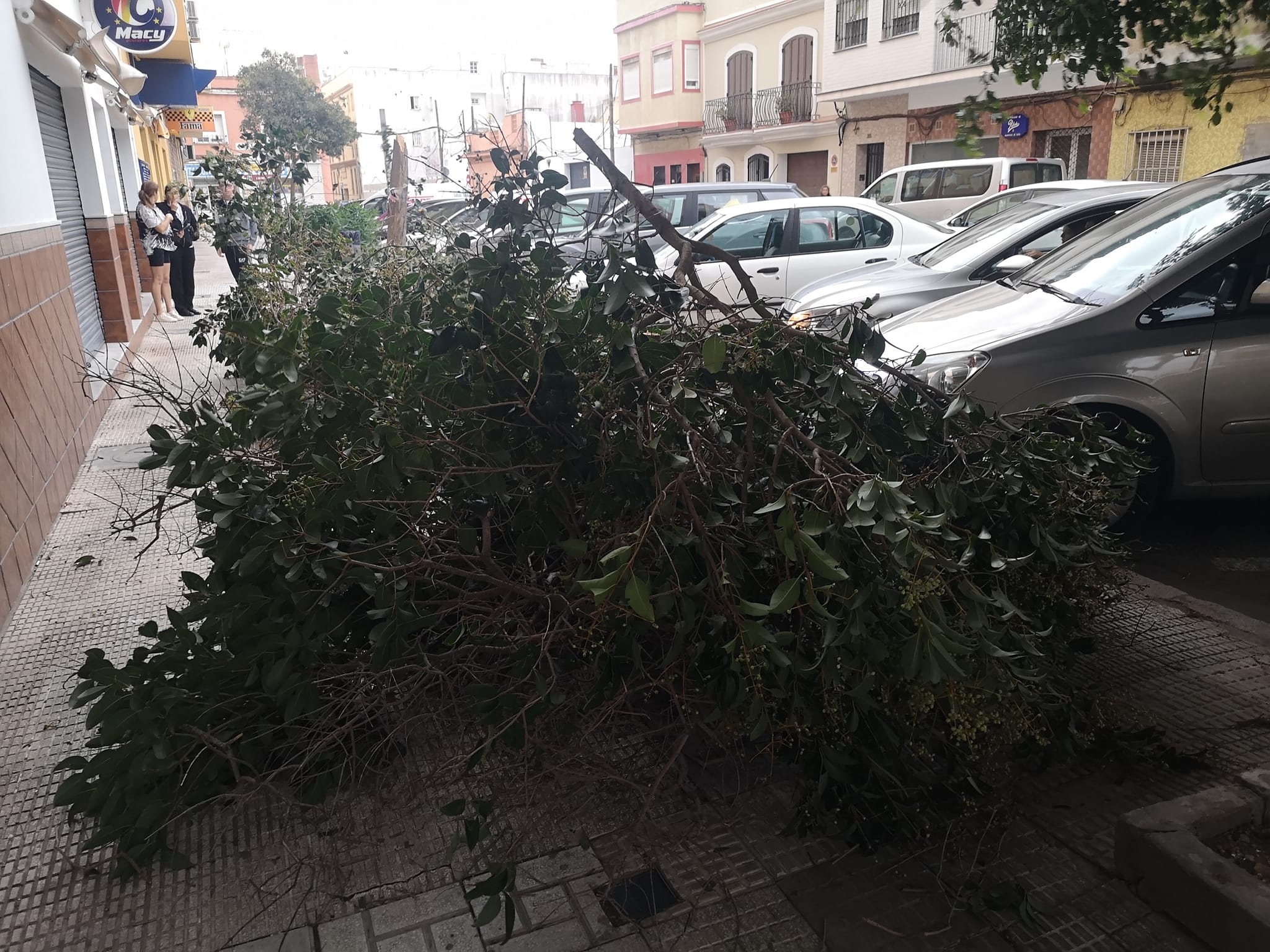 La borrasca Aline deja unas 100 incidencias en la provincia, entre ellas el rescate de un kitesurfista en Tarifa