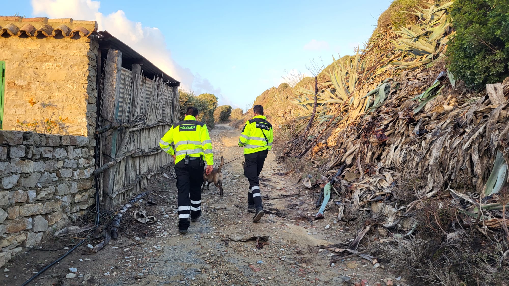 Una treintena de agentes de Tarifa y Algeciras buscan a Liliana Falco, vecina desaparecida en el municipio tarifeño