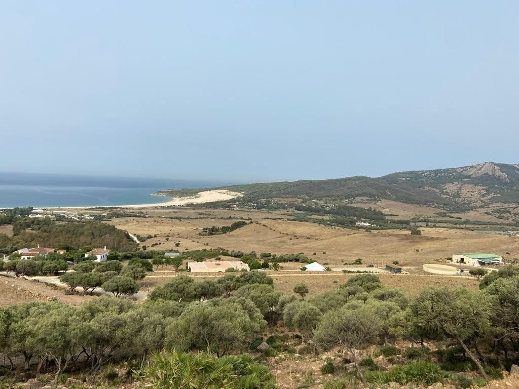 Panorámica de la Dehesa de Las Piñas en Tarifa. Agaden denuncia un proyecto de alojamiento turístico en esta zona. 