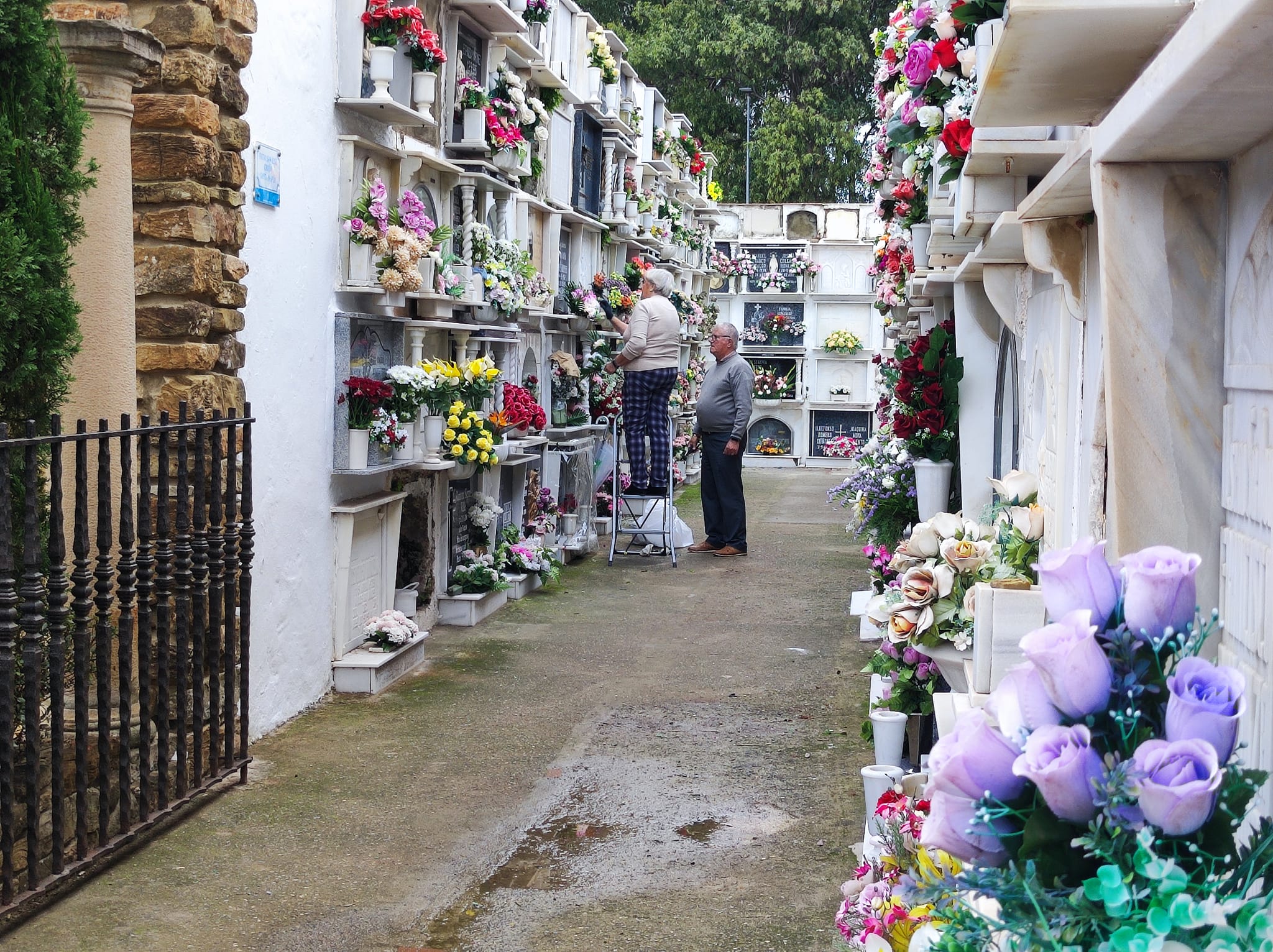 Una pareja decora un nicho en el cementerio antiguo de Algeciras.