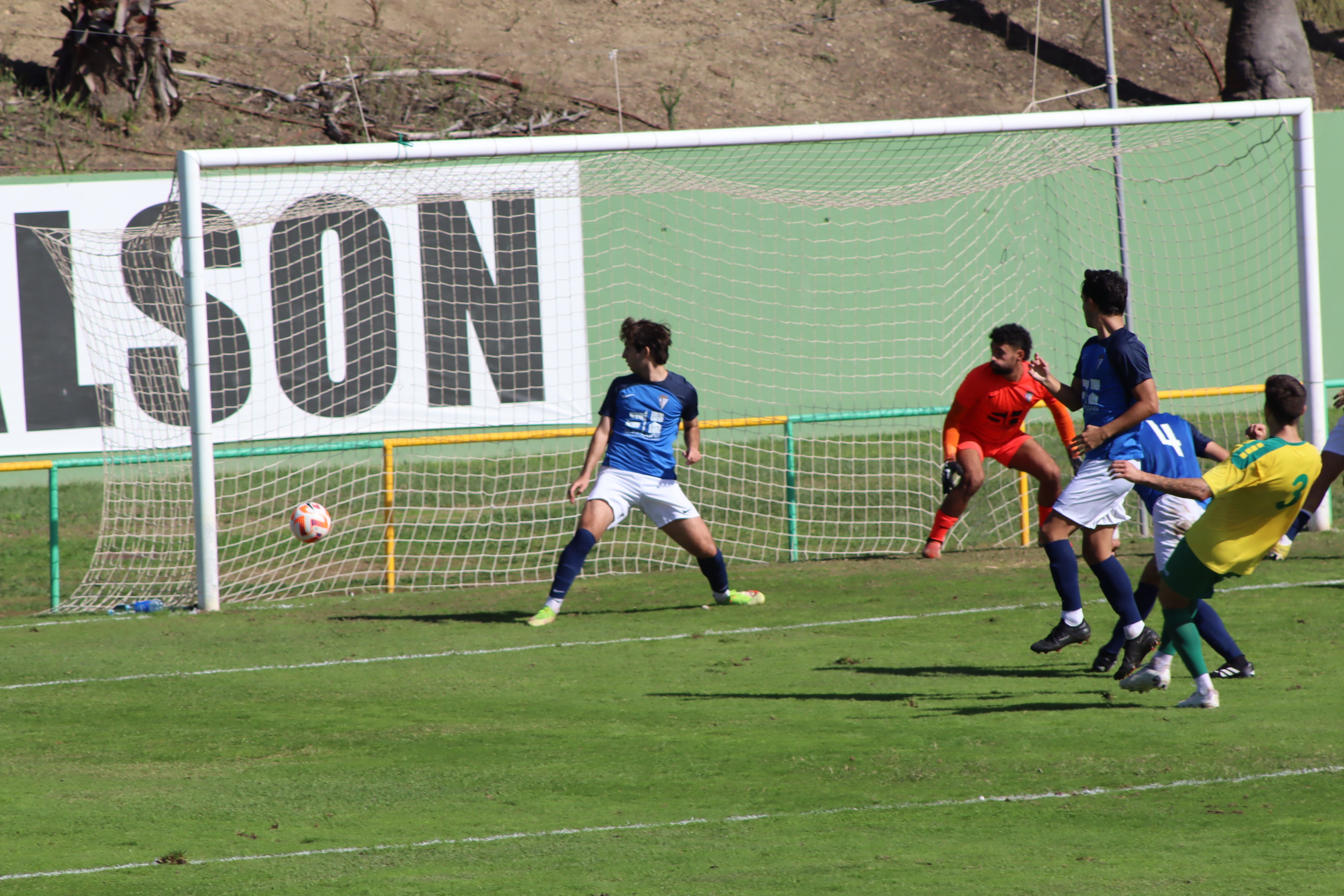 IMG 3141 IMG 3141